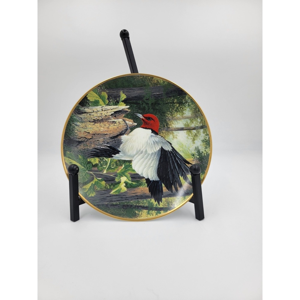 AJ Rudisill Red-Headed Woodpecker Exploring The Woods First Ed. Plate 1983